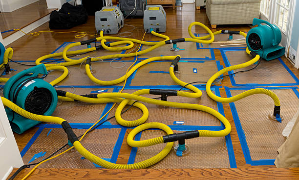 Professional Water Extraction technician working in Kenton, OH